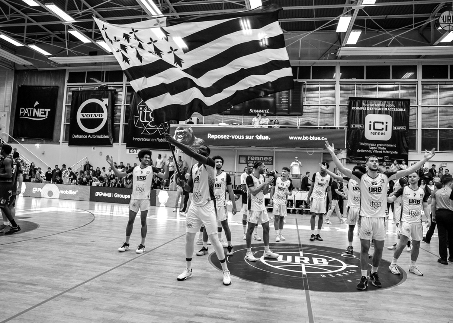 Basket direction artistique